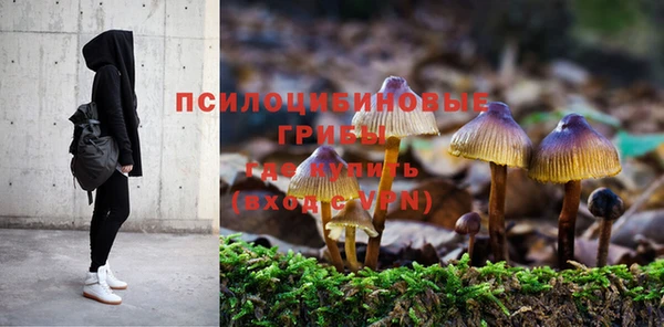 хмурый Гусь-Хрустальный
