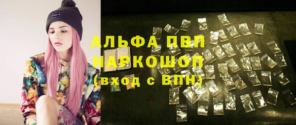 крисы Ельня