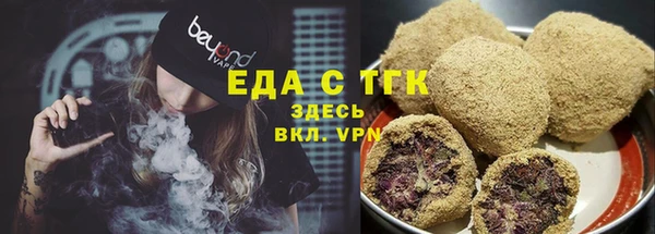 spice Гусев